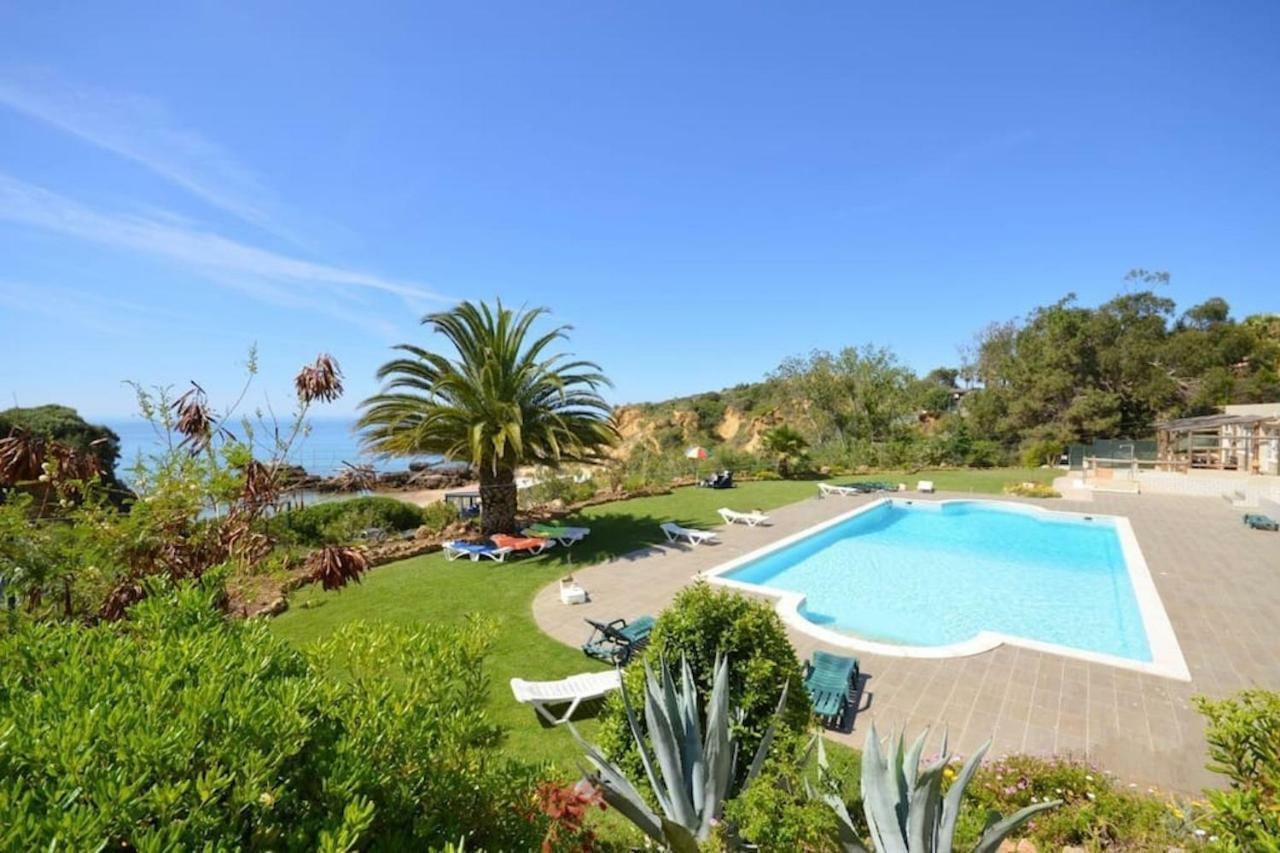 Magnifique Sur La ... Appartement
